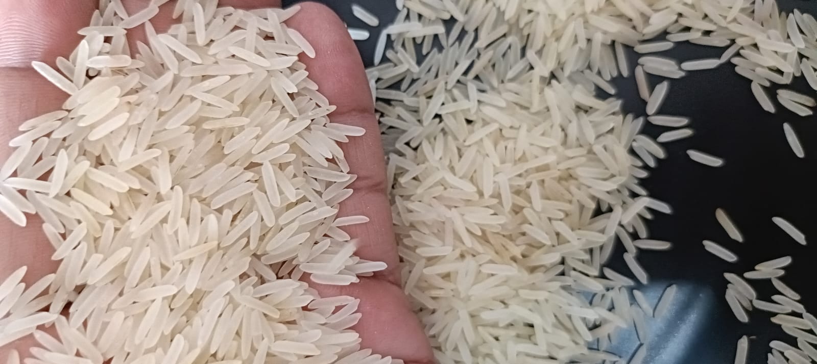 1121 Basmati Rice