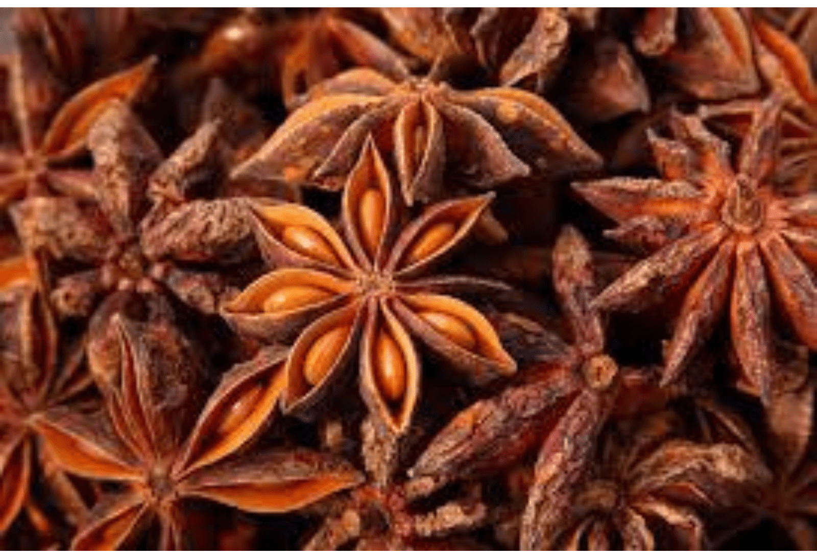 Star Anise